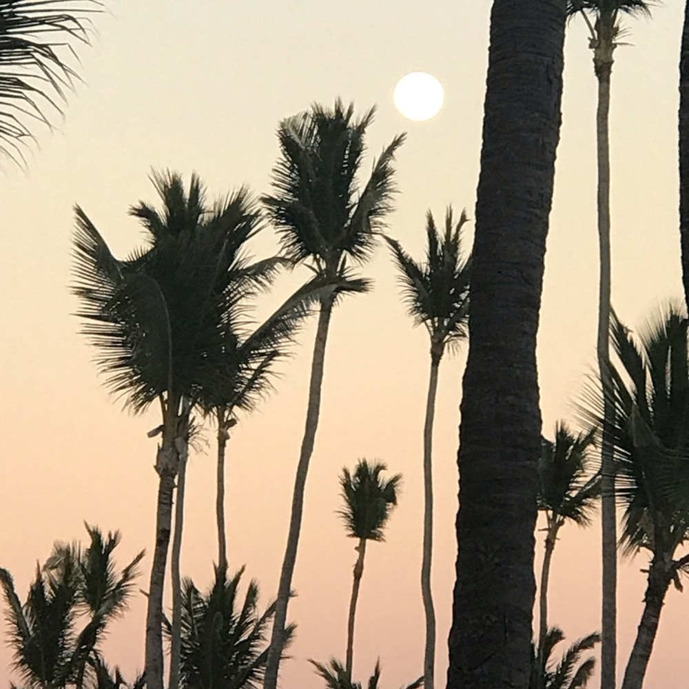 Meet your Posher, Belle